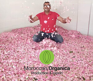 Moroccan organic dried rosebuds & Petals